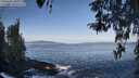./images/koeye/fitz-hugh/20260416/fitz-hugh20260416_085501M.jpg