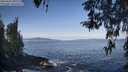 ./images/koeye/fitz-hugh/20260416/fitz-hugh20260416_090001M.jpg