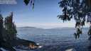 ./images/koeye/fitz-hugh/20260416/fitz-hugh20260416_091001M.jpg