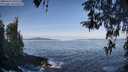 ./images/koeye/fitz-hugh/20260416/fitz-hugh20260416_091502M.jpg