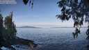 ./images/koeye/fitz-hugh/20260416/fitz-hugh20260416_092501M.jpg
