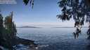 ./images/koeye/fitz-hugh/20260416/fitz-hugh20260416_093002M.jpg