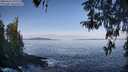 ./images/koeye/fitz-hugh/20260416/fitz-hugh20260416_093501M.jpg