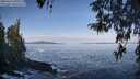./images/koeye/fitz-hugh/20260416/fitz-hugh20260416_094502M.jpg