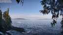 ./images/koeye/fitz-hugh/20260416/fitz-hugh20260416_095002M.jpg