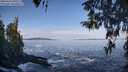 ./images/koeye/fitz-hugh/20260416/fitz-hugh20260416_095501M.jpg