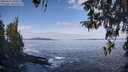 ./images/koeye/fitz-hugh/20260416/fitz-hugh20260416_100501M.jpg