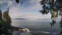 ./images/koeye/fitz-hugh/20260416/fitz-hugh20260416_104001M.jpg