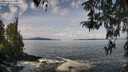 ./images/koeye/fitz-hugh/20260416/fitz-hugh20260416_110501M.jpg