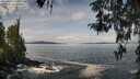 ./images/koeye/fitz-hugh/20260416/fitz-hugh20260416_111001M.jpg