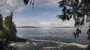 ./images/koeye/fitz-hugh/20260416/fitz-hugh20260416_112501M.jpg