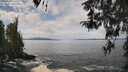./images/koeye/fitz-hugh/20260416/fitz-hugh20260416_115501M.jpg