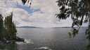 ./images/koeye/fitz-hugh/20260416/fitz-hugh20260416_124001M.jpg