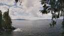 ./images/koeye/fitz-hugh/20260416/fitz-hugh20260416_124501M.jpg