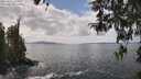 ./images/koeye/fitz-hugh/20260416/fitz-hugh20260416_134501M.jpg