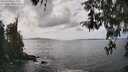 ./images/koeye/fitz-hugh/20260416/fitz-hugh20260416_144501M.jpg