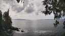 ./images/koeye/fitz-hugh/20260416/fitz-hugh20260416_145001M.jpg