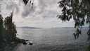 ./images/koeye/fitz-hugh/20260416/fitz-hugh20260416_145501M.jpg
