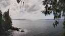 ./images/koeye/fitz-hugh/20260416/fitz-hugh20260416_150501M.jpg