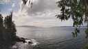./images/koeye/fitz-hugh/20260416/fitz-hugh20260416_152501M.jpg