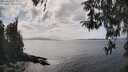 ./images/koeye/fitz-hugh/20260416/fitz-hugh20260416_153501M.jpg
