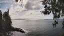 ./images/koeye/fitz-hugh/20260416/fitz-hugh20260416_154001M.jpg