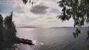 ./images/koeye/fitz-hugh/20260416/fitz-hugh20260416_160001M.jpg