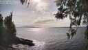 ./images/koeye/fitz-hugh/20260416/fitz-hugh20260416_162502M.jpg