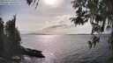 ./images/koeye/fitz-hugh/20260416/fitz-hugh20260416_163001M.jpg