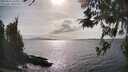 ./images/koeye/fitz-hugh/20260416/fitz-hugh20260416_164002M.jpg