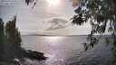 ./images/koeye/fitz-hugh/20260416/fitz-hugh20260416_164501M.jpg