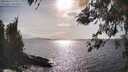./images/koeye/fitz-hugh/20260416/fitz-hugh20260416_170501M.jpg