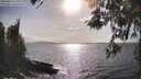./images/koeye/fitz-hugh/20260416/fitz-hugh20260416_171001M.jpg