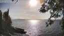 ./images/koeye/fitz-hugh/20260416/fitz-hugh20260416_171502M.jpg