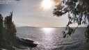 ./images/koeye/fitz-hugh/20260416/fitz-hugh20260416_172001M.jpg