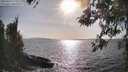 ./images/koeye/fitz-hugh/20260416/fitz-hugh20260416_172502M.jpg