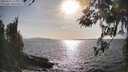 ./images/koeye/fitz-hugh/20260416/fitz-hugh20260416_173002M.jpg