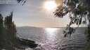 ./images/koeye/fitz-hugh/20260416/fitz-hugh20260416_173501M.jpg