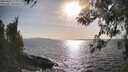 ./images/koeye/fitz-hugh/20260416/fitz-hugh20260416_174001M.jpg