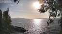 ./images/koeye/fitz-hugh/20260416/fitz-hugh20260416_175001M.jpg