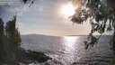 ./images/koeye/fitz-hugh/20260416/fitz-hugh20260416_175501M.jpg