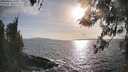 ./images/koeye/fitz-hugh/20260416/fitz-hugh20260416_180501M.jpg