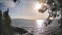 ./images/koeye/fitz-hugh/20260416/fitz-hugh20260416_181001M.jpg