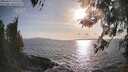 ./images/koeye/fitz-hugh/20260416/fitz-hugh20260416_181501M.jpg