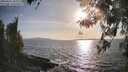./images/koeye/fitz-hugh/20260416/fitz-hugh20260416_182001M.jpg
