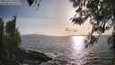 ./images/koeye/fitz-hugh/20260416/fitz-hugh20260416_183001M.jpg