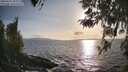 ./images/koeye/fitz-hugh/20260416/fitz-hugh20260416_183501M.jpg
