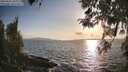 ./images/koeye/fitz-hugh/20260416/fitz-hugh20260416_185001M.jpg