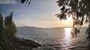 ./images/koeye/fitz-hugh/20260416/fitz-hugh20260416_191001M.jpg