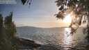 ./images/koeye/fitz-hugh/20260416/fitz-hugh20260416_191501M.jpg